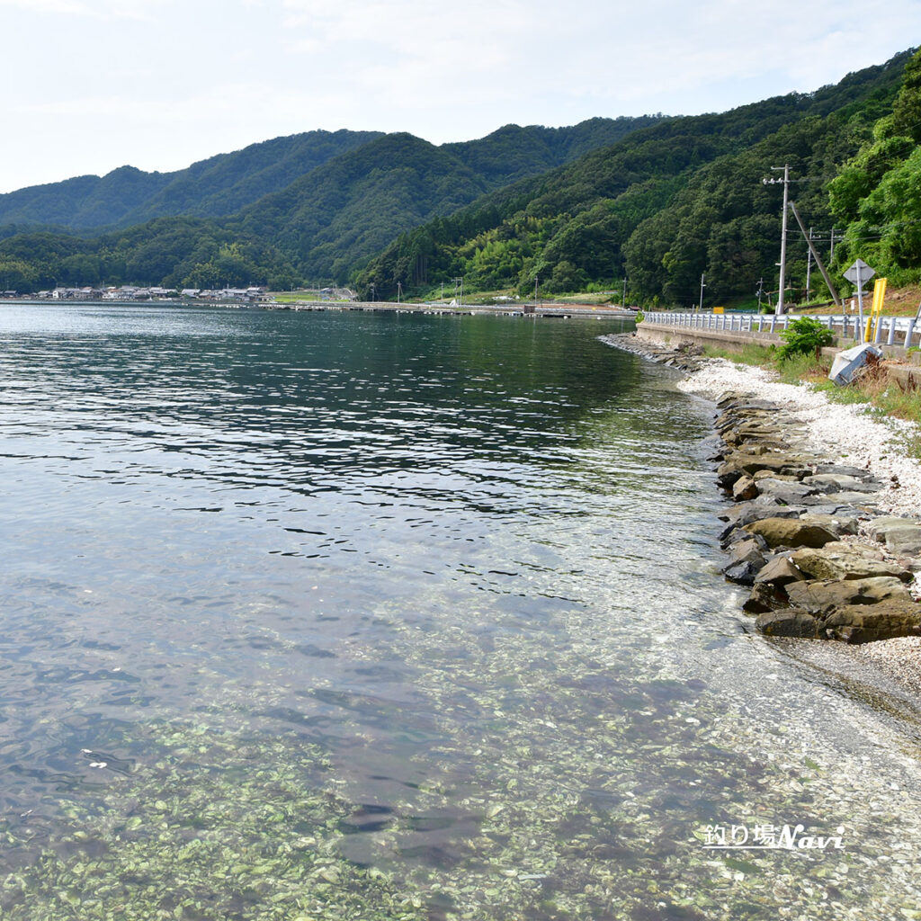 舞鶴港 ミヨ崎灯台｜釣り場Navi