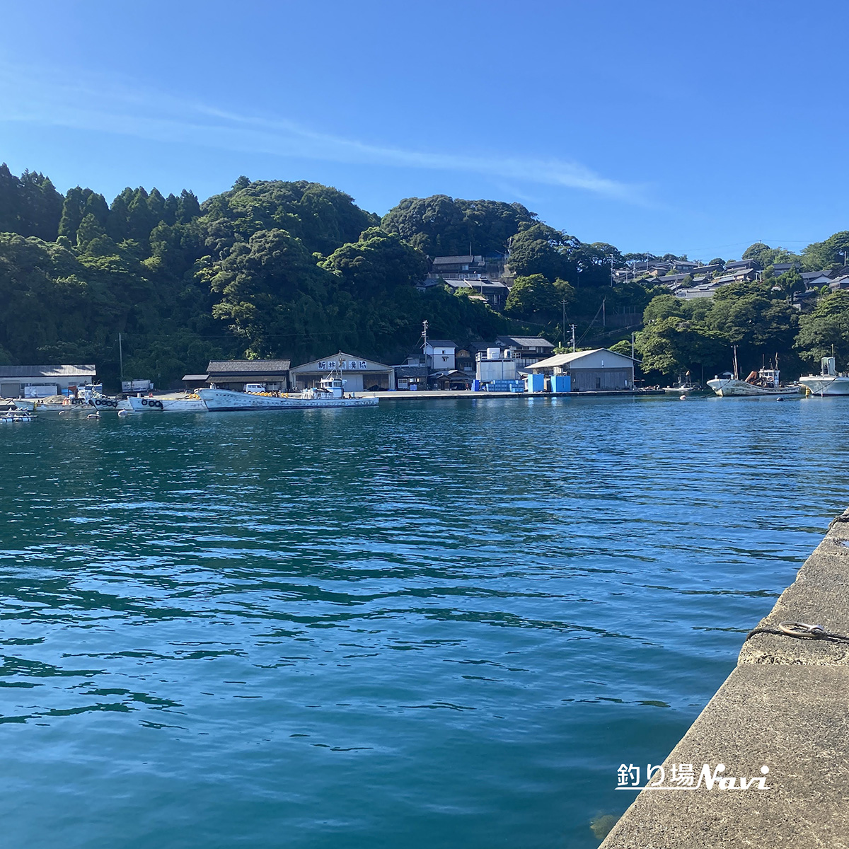 新井崎漁港｜釣り場Navi-北近畿版