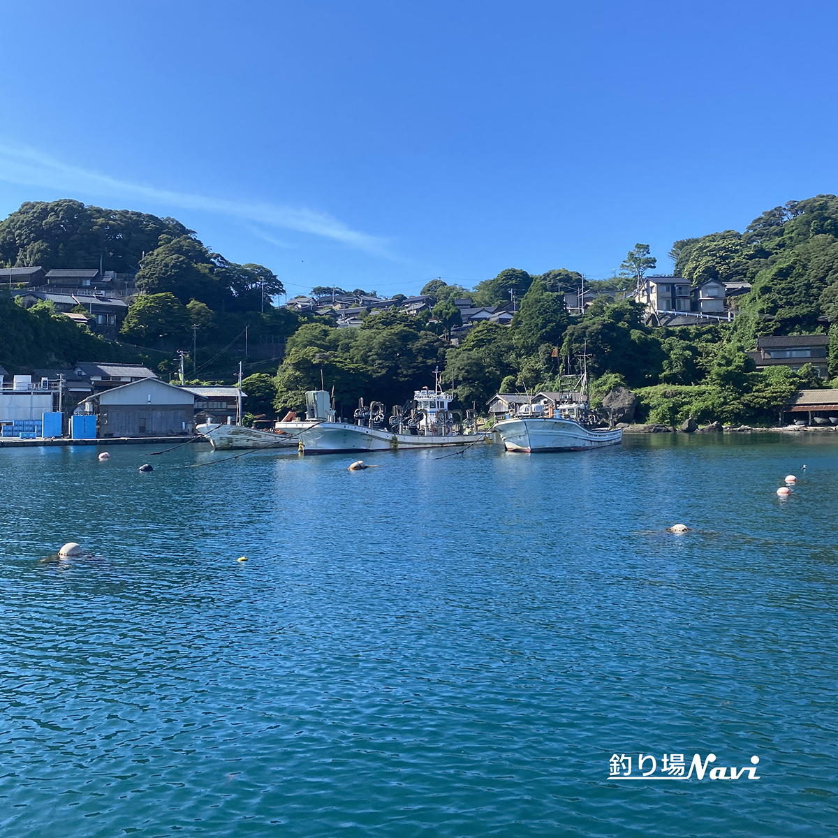 新井崎漁港｜釣り場Navi-北近畿版