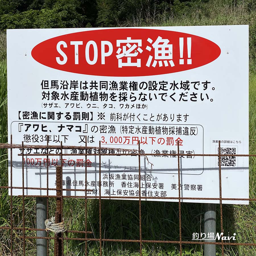 田井ノ浜海岸|釣り場Navi北近畿版
