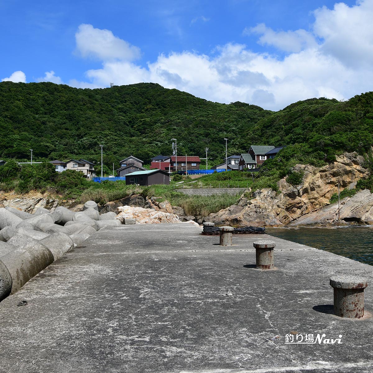 三津漁港｜釣り場Navi