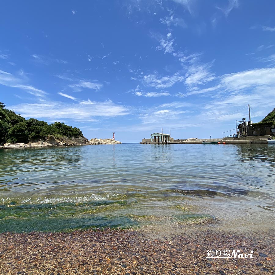 三津漁港｜釣り場Navi