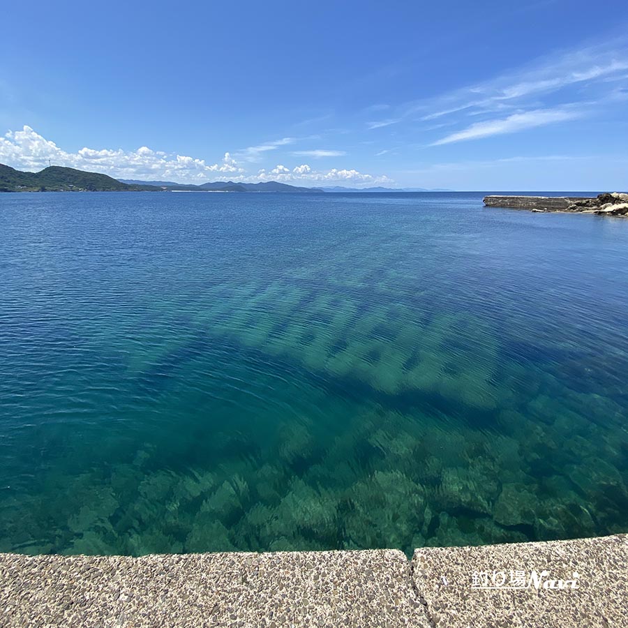 小間漁港｜釣り場Navi