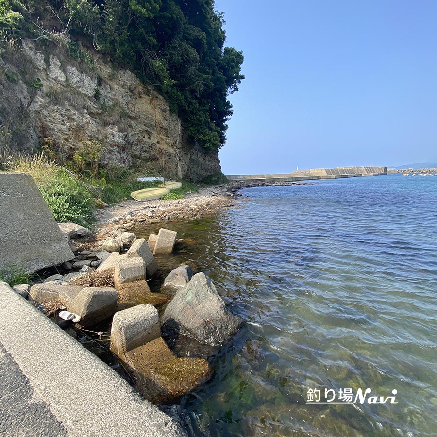 浅茂川漁港｜釣り場Navi