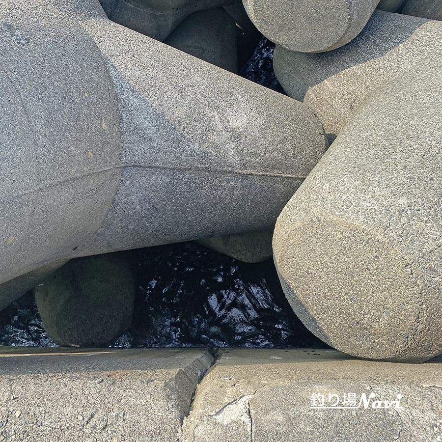 浅茂川漁港｜釣り場Navi