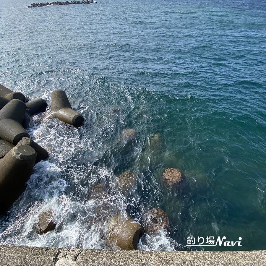 浅茂川漁港｜釣り場Navi