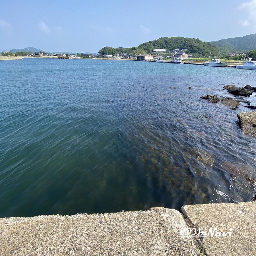 浅茂川漁港｜釣り場Navi