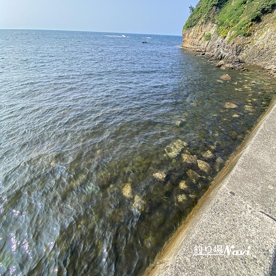 浅茂川漁港｜釣り場Navi