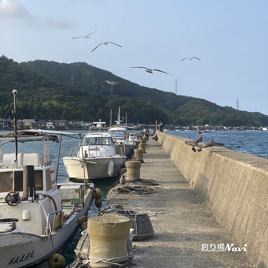 栗田漁港｜釣り場Navi -北近畿版
