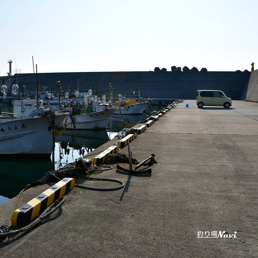 間人港|釣り場Navi