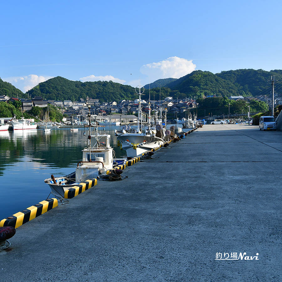 間人港|釣り場Navi