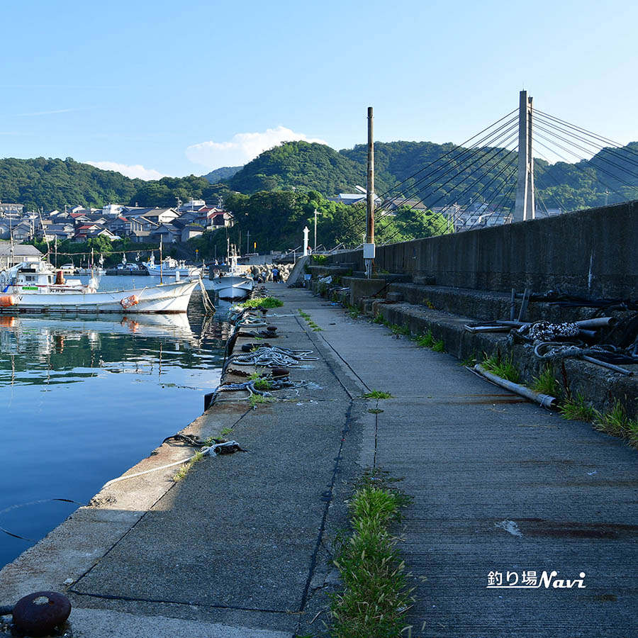 間人港|釣り場Navi