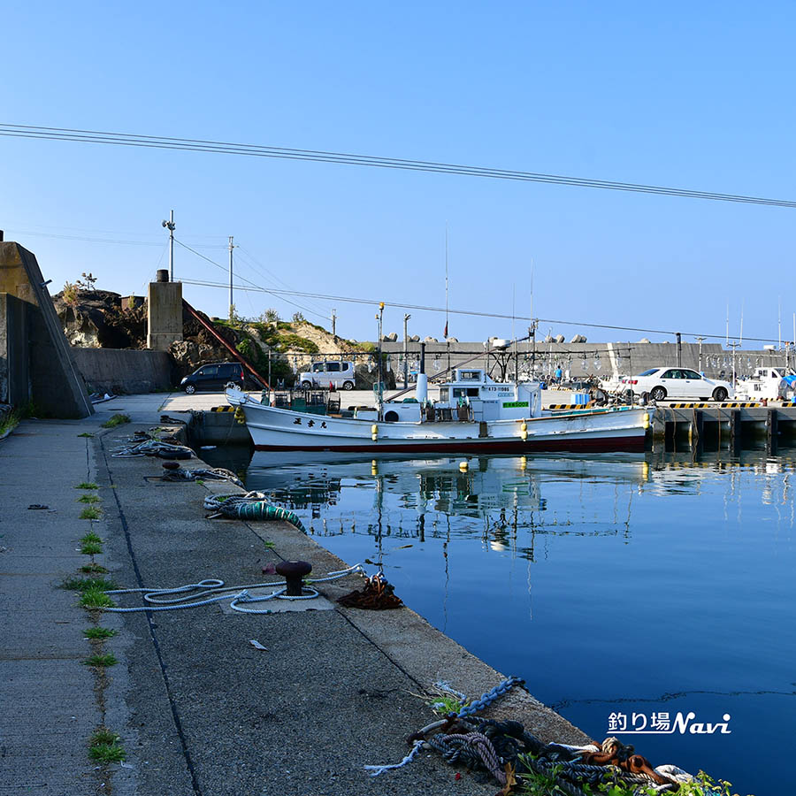 間人港|釣り場Navi