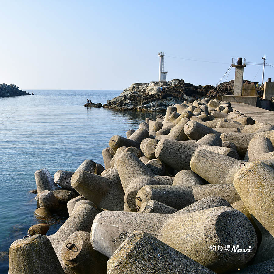 間人港|釣り場Navi