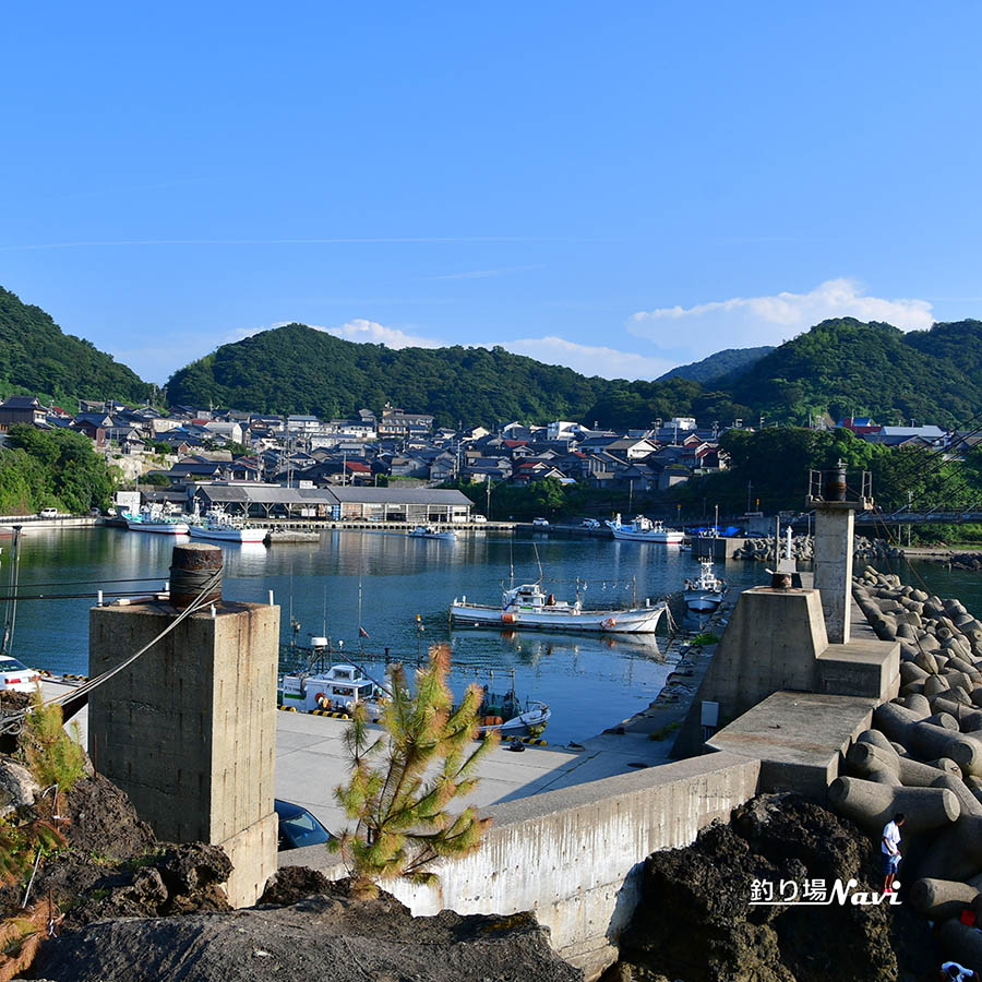 間人港|釣り場Navi