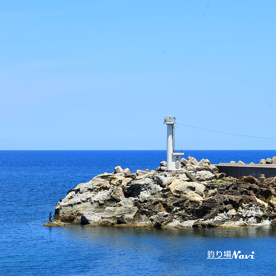 間人港|釣り場Navi