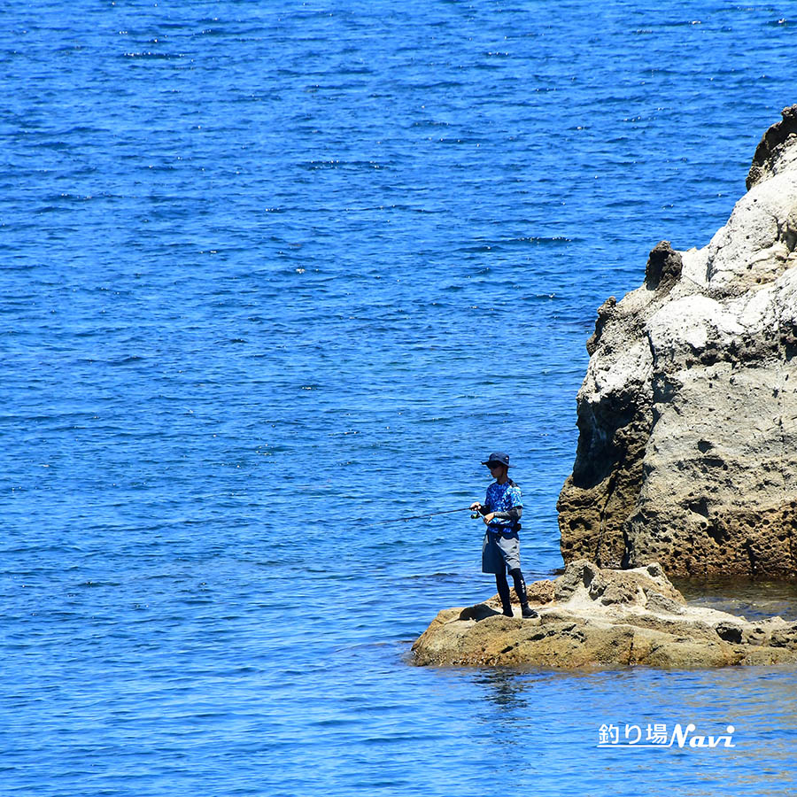 間人港|釣り場Navi