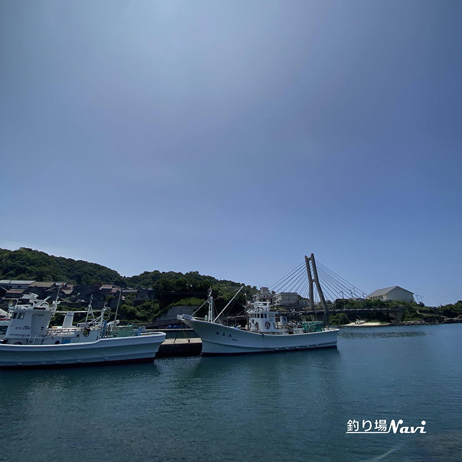 間人港|釣り場Navi