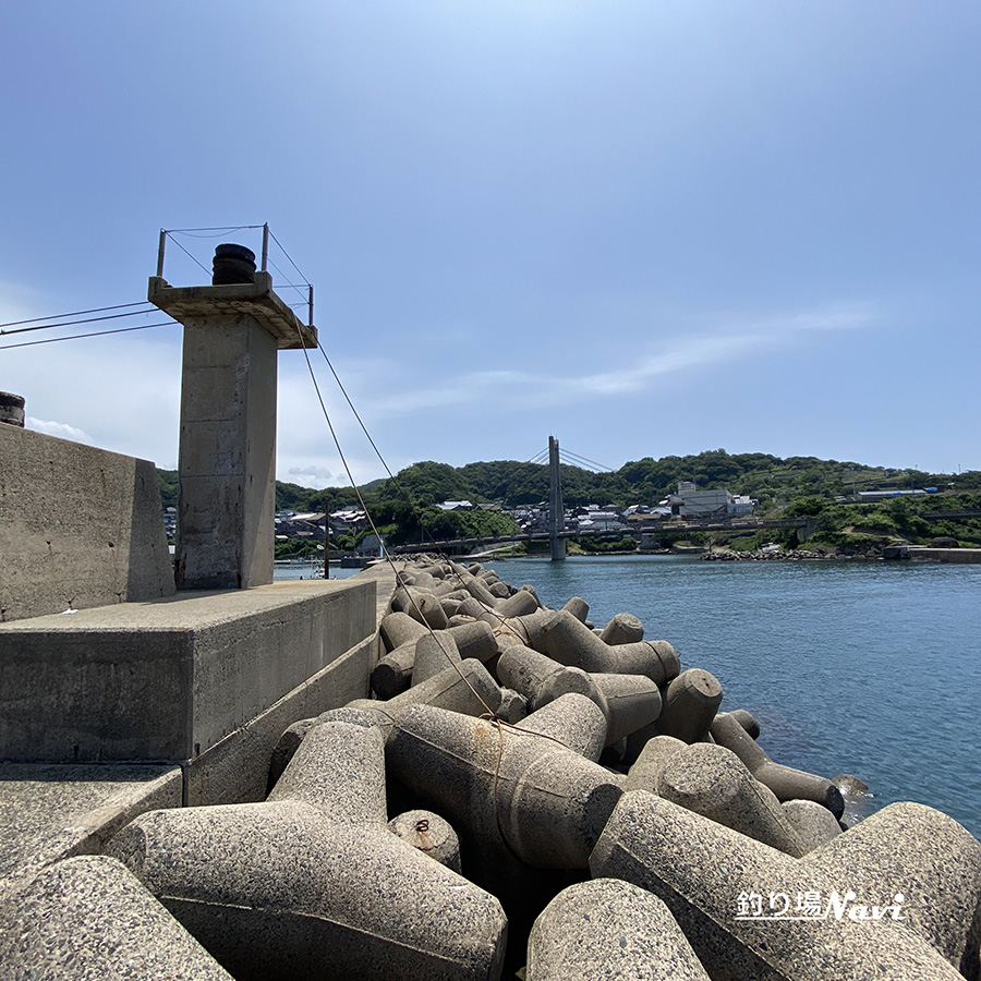 間人港|釣り場Navi
