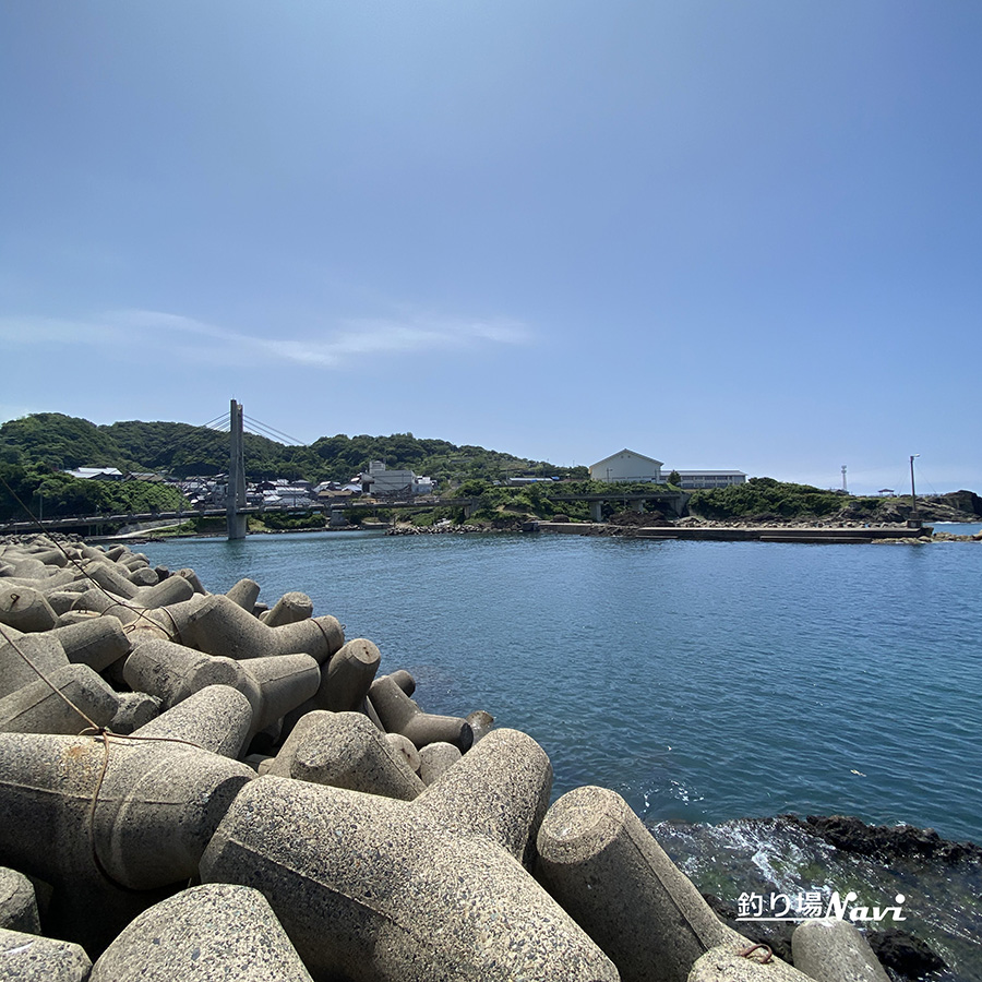 間人港|釣り場Navi