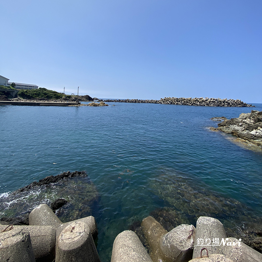 間人港|釣り場Navi