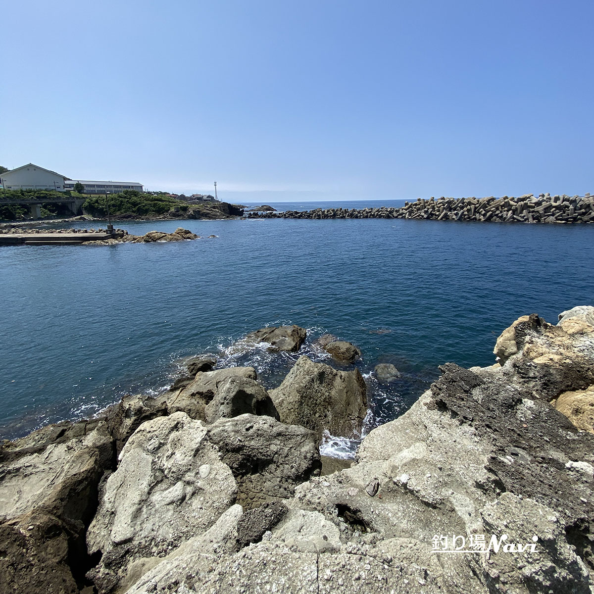 間人港|釣り場Navi