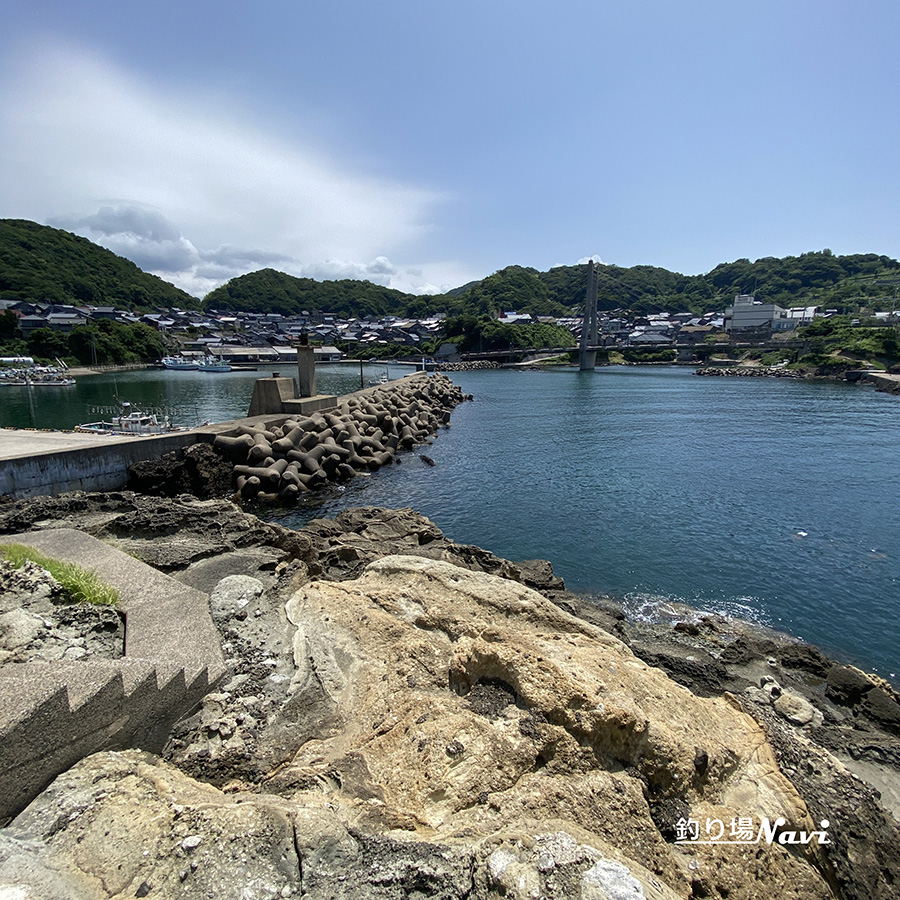 間人港|釣り場Navi