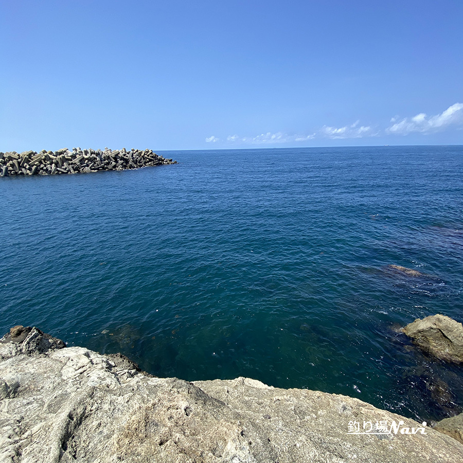 間人港|釣り場Navi
