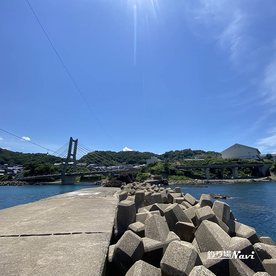 間人港|釣り場Navi